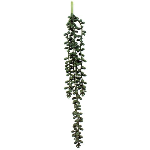 Hanging Pearl Succulent 35.5cm