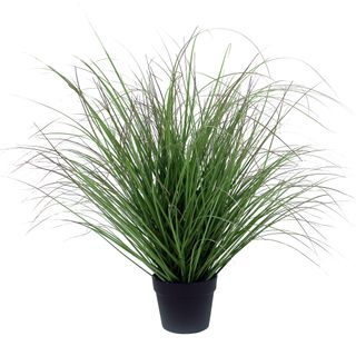 Sea Grass with Black Pot 91cm