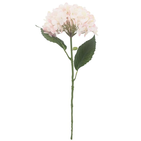 Hydrangeas in Pink 16x56cm