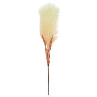 Pim Pampas Grass Natural 55cm