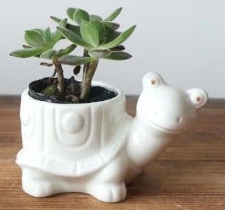 Ceramic Turtle Novelty Planter White