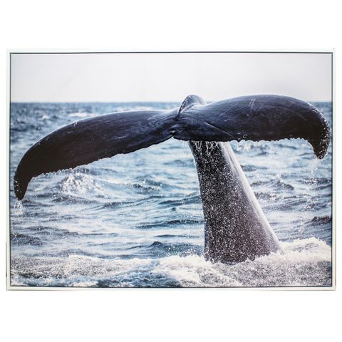 Whale Tail Print 113x83 cm