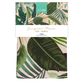 Jungalow Peach Tea Towel