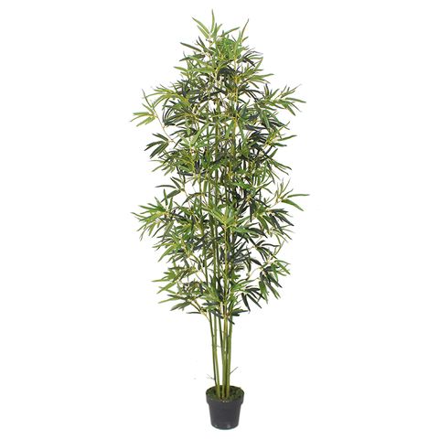 Bamboo 210 cm