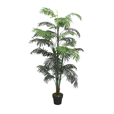 Palm Tree 170cm