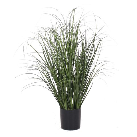 Grass 55cm