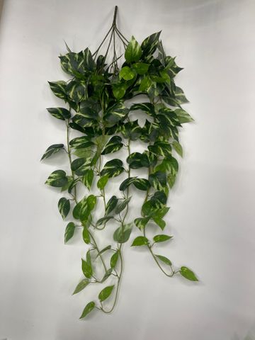 Ivy Stem 100cm