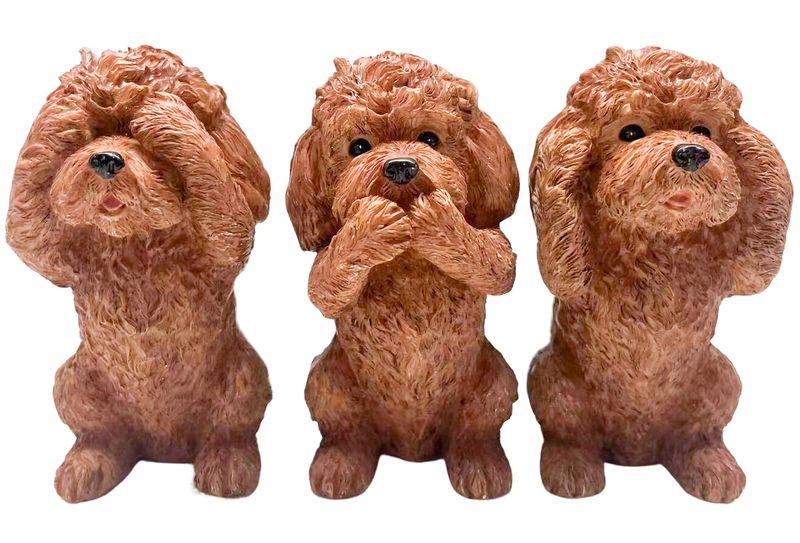 Hear/See/Speak Cavoodle Set of 3