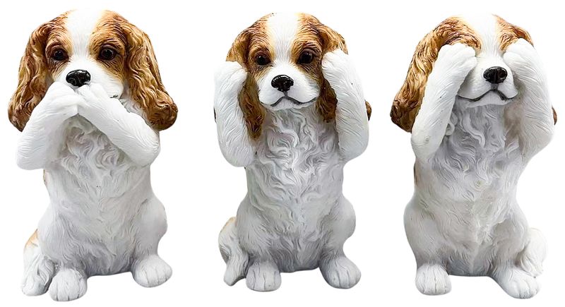 Hear/See/Speak King Charles Set of 3