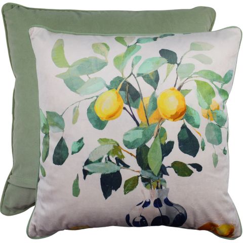 Zestful Display Velvet Cushion 50x50cm