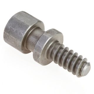 Woodworm Screw