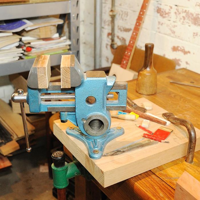 Parrot Vice (Vise)