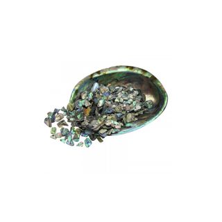 Paua shell pieces 2-15mm (30g)