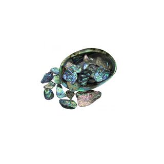 Paua shell pieces 15-40mm (30g)