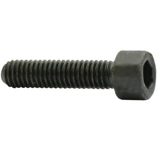 Screw 1/8W x 1/2in ***