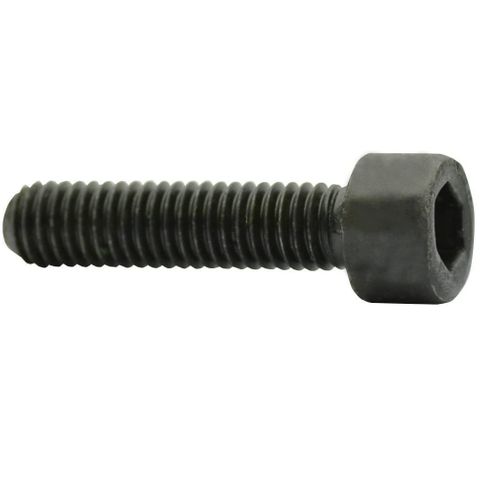 Screw 1/8W x 1/2in ***