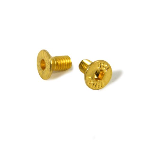 Blade screw to suit CT-WTC-CHTS3 series chisels (pk 5)