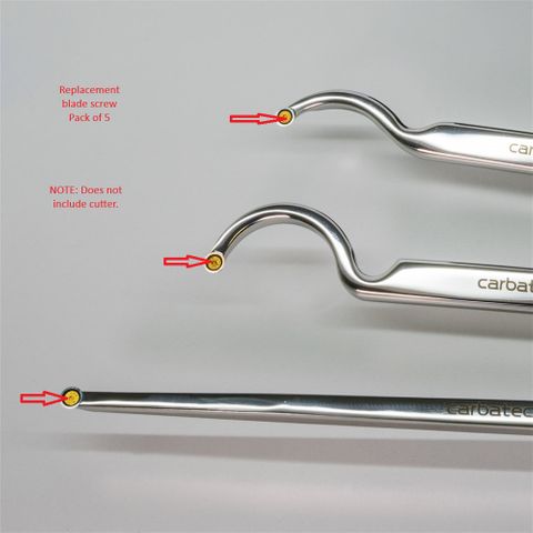 Blade screw to suit CT-WTC-CHTS3 series chisels (pk 5)