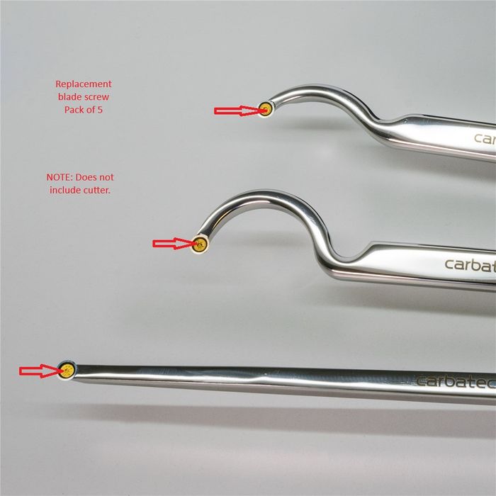 Blade screw to suit CT-WTC-CHTS3 series chisels (pk 5)