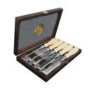 Narex Premium Richter Cryogenic 5pc Bevel Edge Chisel Set in Wooden Case