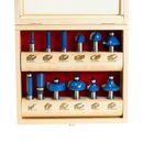 Carbatec 12 piece 1/2 inch shank starter cutter set