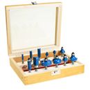 Carbatec 12 piece 1/4 inch shank starter cutter set