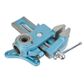 Parrot Vice (Vise)