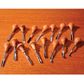 Palm Chisel #1S Skew 12mm