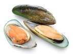 HALF SHELL MUSSELS MEDIUM NZ SANFORD x 1kg (12)