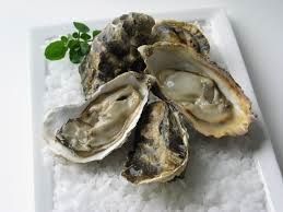 SA STANDARD OYSTERS (L) HALF SHELL x 5dz