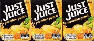 JUST JUICE PARADISE PUNCH NAS 200ml x 24