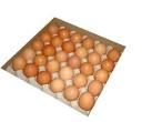 EGGS BULK GFREE PACE FARM 6 x 30 x 600g