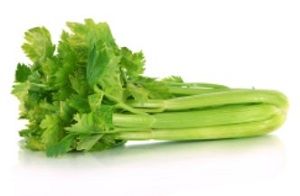 CELERY x BUNCH