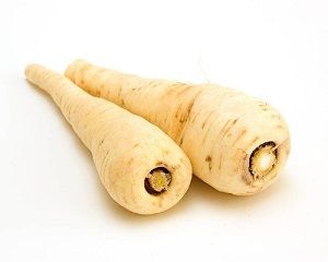 PARSNIPS LARGE x KG