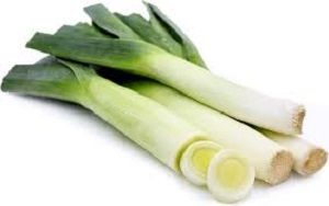 LEEKS x BUNCH