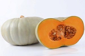 PUMPKIN QUEENSLAND BLUE  (min 6.5kg) x EA