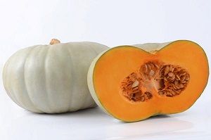 PUMPKIN QUEENSLAND BLUE  (min 2kg) x EA