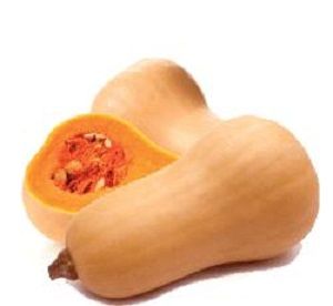 PUMPKIN BUTTERNUT (min 1.8kg) x EA