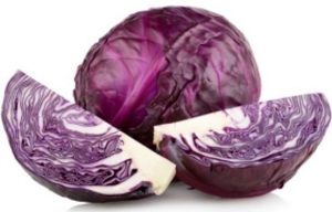 CABBAGE RED x EA