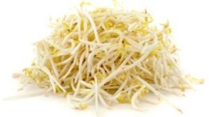 BEAN SHOOTS x 1kg PACKET