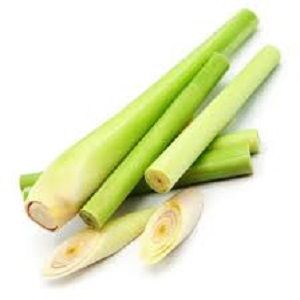 LEMON GRASS 3 STICKS x BUNCH