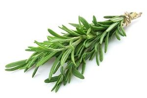 ROSEMARY x BUNCH