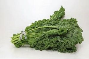 KALE x BUNCH