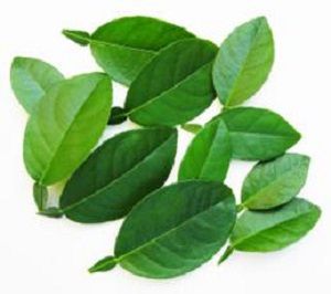LIME LEAVES  x 10g PACKET