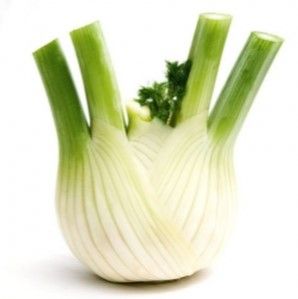 FENNEL BULB x EA