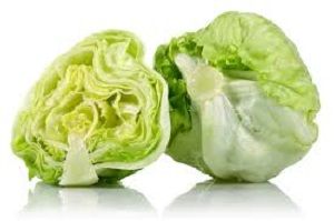 LETTUCE ICEBERG (1011) x EA