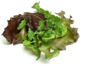 LETTUCE SALAD MIX ( MESCULIN ) x 100g PACKET