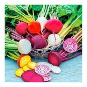 RAINBOW BEETROOT FRESH x BUNCH