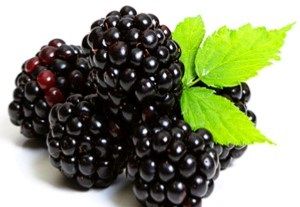 BLACKBERRIES x EA