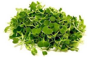 MICROHERBS x PUNNET